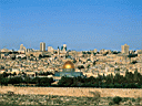 Aqsa_Sa5ra (11).jpg